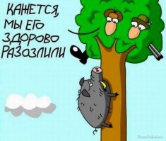 Разговор двух охотников:
- Ты когда на охоту на кабана идёшь, каким порохом патроны заряжаешь, дымным или бездымным?
- Конечно дымным!
- Почему?
- А пока дым рассеивается я успеваю залезть на дерево...
(анекдот)