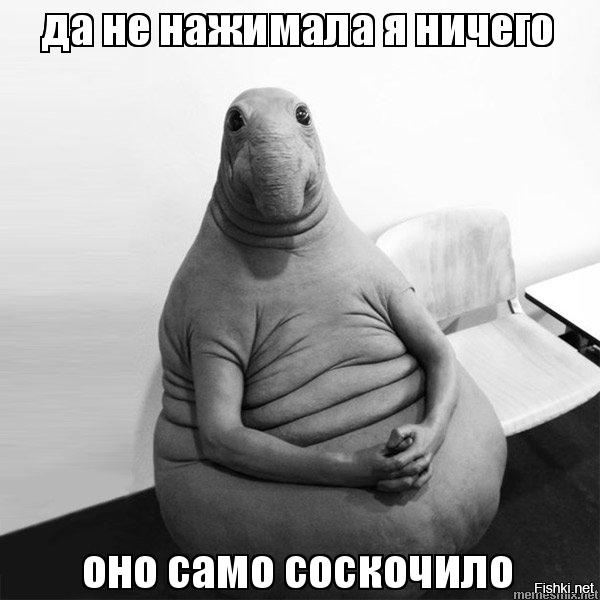 Из солянки от 03.03.2017
