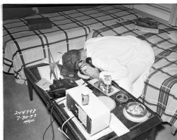 Афтор, ты сам комменты к фотографиям писал или передрал недумая?

Где на фото хоть какой-то намек на ужин, либо любой иной приём пищи? А?