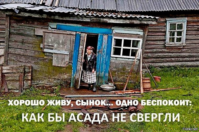 Пальмира - "ваша" ?- мои поздравления нам в глубинке как-то фиолетово