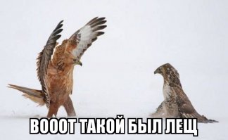 Веселая подборка