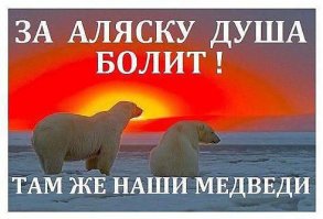 В глушь, на Аляску: как жить на острове среди медведей и китов и не сойти с ума