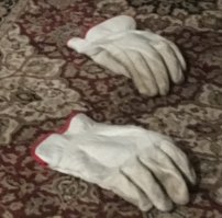 "...Выбирает только кожаные..." 
Может кот хочет сказать: "Почисти их или выкинь."
Кстати, а они точно кожаные?