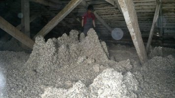 Тонна помёта