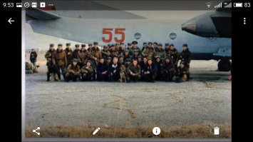 Служебные собаки: четвероногие храбрецы