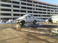 подснежники полезли