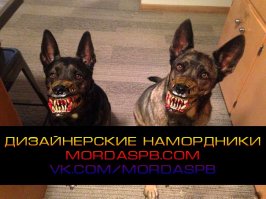 Эксклюзивные намордники для собак 
