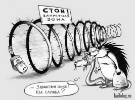Необычные гибриды