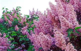 Классный пост