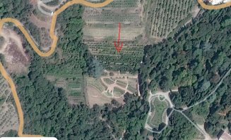 Ещё, в Никитском ботаническом саду есть Зелёный лабиринт. Как то с женой бродил там пока она не устала и не начала паниковать.))) Потом вывел.