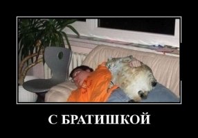 Наконец то!))))))))