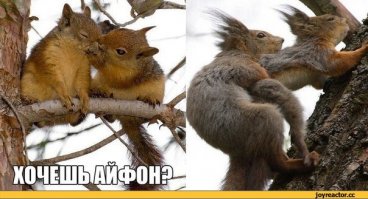 нет слов, только мда ))