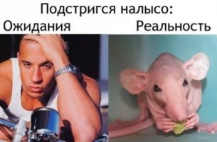 Как выглядели знаменитые лысые актеры до того, как потеряли свои волосы