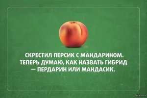 Необычные гибриды