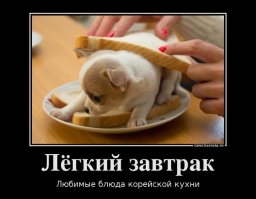 Чего нельзя делать в Южной Корее