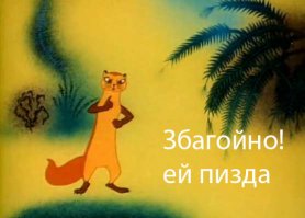 Восхищаюсь смелостью мангустов