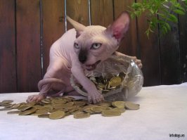 попалась с поличным...