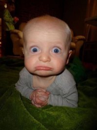 Любителям мопсов сюда!