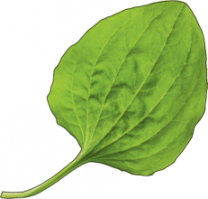 Вот что надо прикладывать, И сказать на последок: "Не болей бордюр больше".