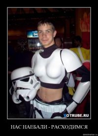 20 фотографий кисок, каждую из которых можно отправить другу