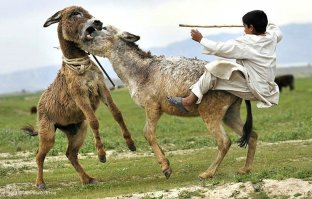 Да что там происходит