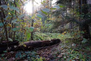 Лучшие снимки финалистов Smithsonian Photo Contest'2016