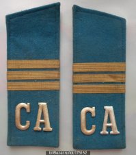 Вроде пост про армейские погоны. А чо тут делают, ментовские погоны?? Вроде в армии есть свои, "сержанские" погоны. Цвет только отличается, в зависимости от рода войск.