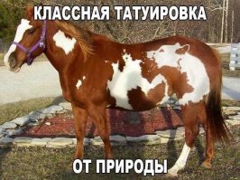 Подборка художественных татуировок