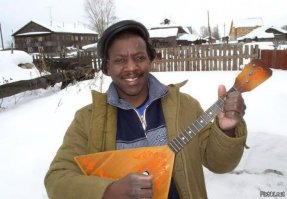 Коты попавшие в непростую жизненную ситуацию