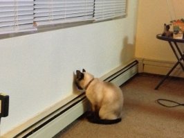 Хорошая попытка, но это неправильно