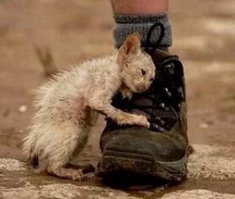 а может быть, всё таки лучше такого?