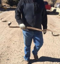 Да что там происходит