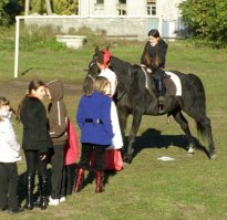 Да что там происходит