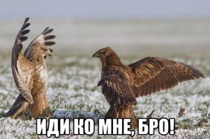 Настоящая дружба — это как крепкий брак, только трусишки не надо снимать