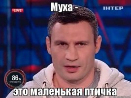 Маленькое чудо - колибри