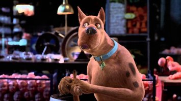 Эти щенки погибли бы в пустыне, если бы не двое путешественников