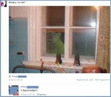 Настоящая дружба — это как крепкий брак, только трусишки не надо снимать