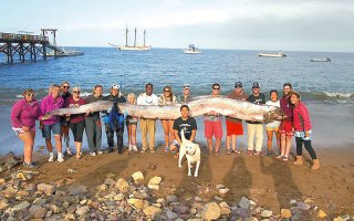 интересно сколько оно весит? кто то даже одной рукой поднимает.... чет подозрительно