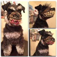 Намордник какой-то "гейский" Как по мне, нужно намордник вот такой.