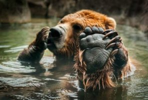 Приколы и прикольные картинки