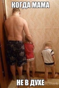 Гифки дня