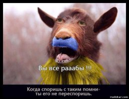 "Их нравы"