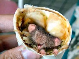 Фотоподборка за 06.03.2017