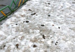 так вот вы какие, я видел только такие