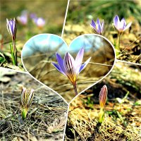 Вчера фоткал)