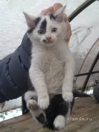 Установка флага в Норильске