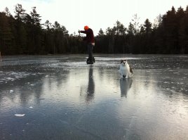 Кошак знает где подъедаться можно.
