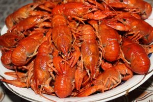 20 великолепных красных животных