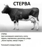 На вид это вполне себе ЖИВАЯ корова!