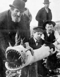 15 пугающих фотографий, которым так и не нашлось объяснения